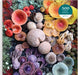 Shrooms in Bloom 500 Piece Puzzle