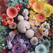 Shrooms in Bloom 500 Piece Puzzle