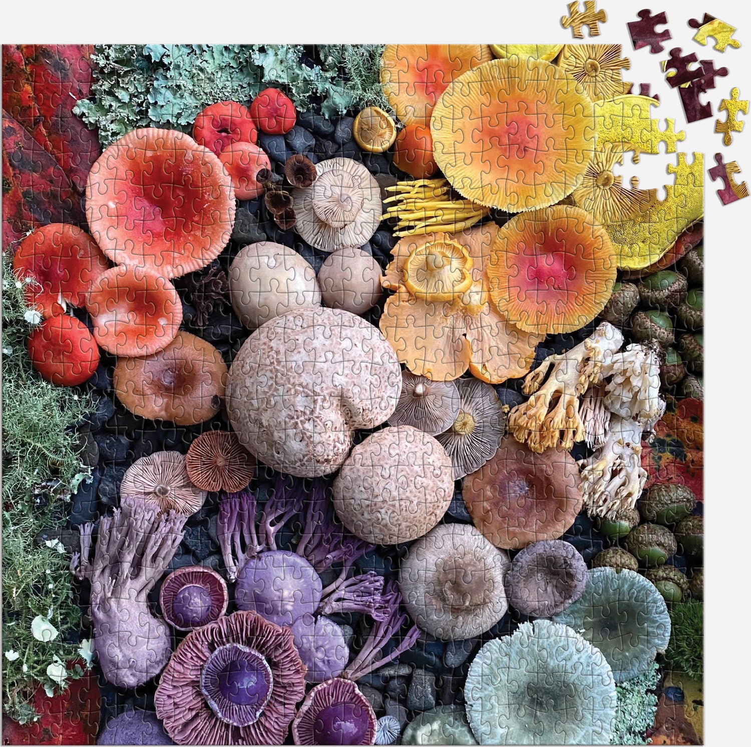 Shrooms in Bloom 500 Piece Puzzle