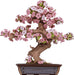 Modern Wooden Puzzle: Sakura Bonsai (Prepacked PDQ)