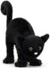 Spookipaws Cat