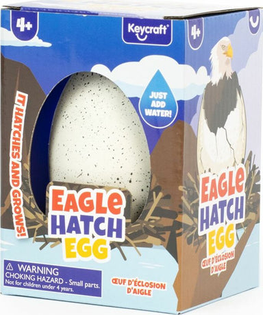 Eagle Hatch Egg