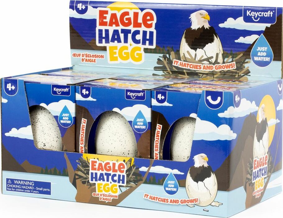 Eagle Hatch Egg