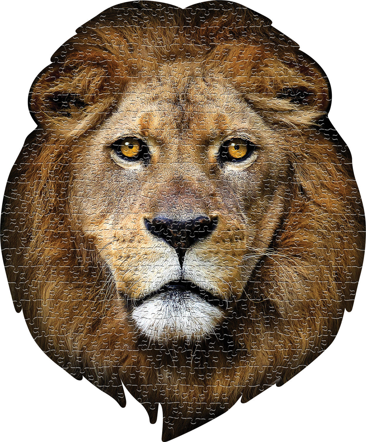 Madd Capp Puzzle - I Am Lion