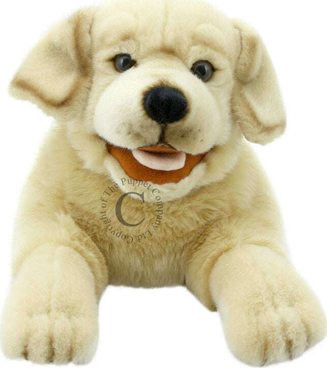 Playful Puppies - Labrador (Yellow)