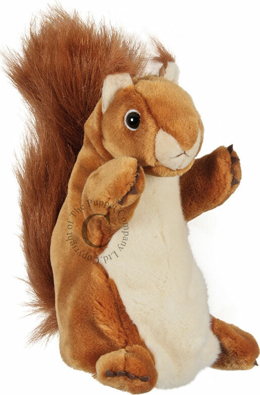 Long Sleeves - Squirrel (Red)