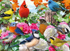 Garden Birds 500 Piece Puzzle