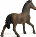 Oldenburger Stallion