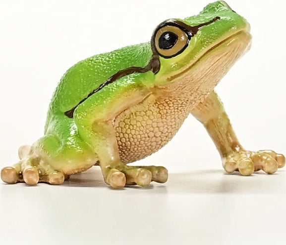 schleich WILD LIFE European Tree Frog