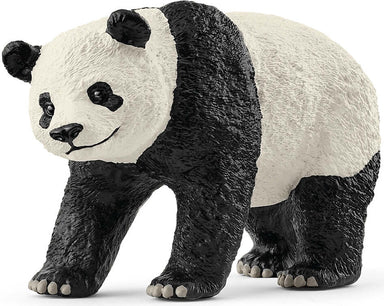 Giant Panda