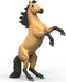 Mustang Stallion