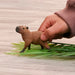 Capybara Animal Toy Figurine