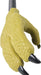 Dino Claw Grabber