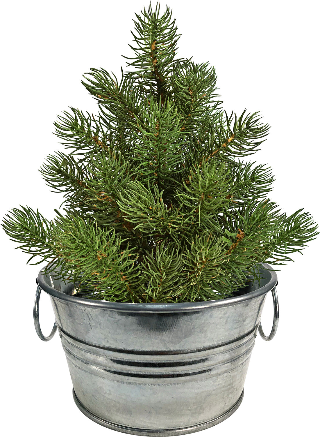 small christmas plant pot Perfect Pine