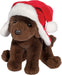 Chocolate Lab with Santa Bomber Hat