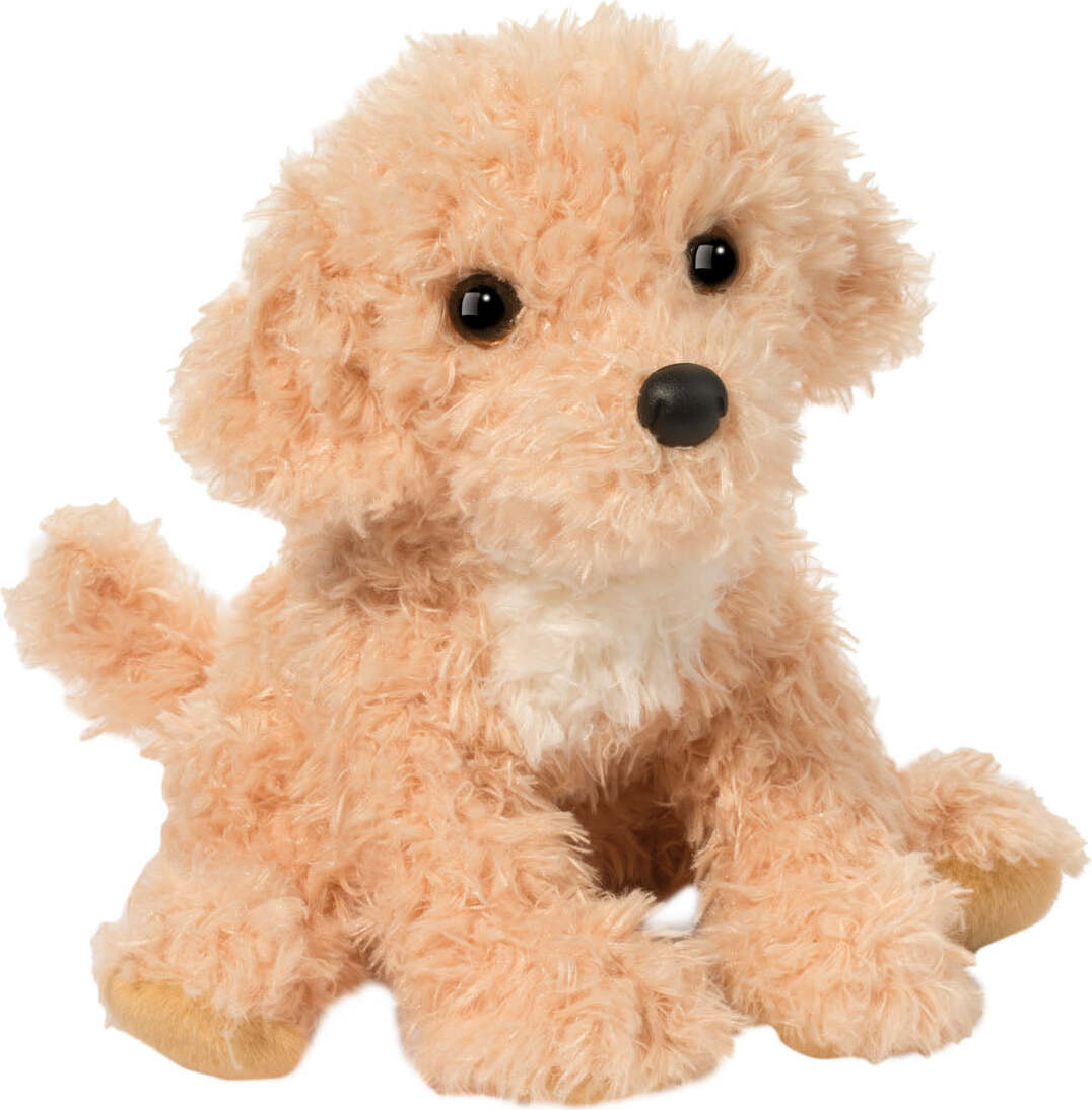 Noodle Golden Doodle