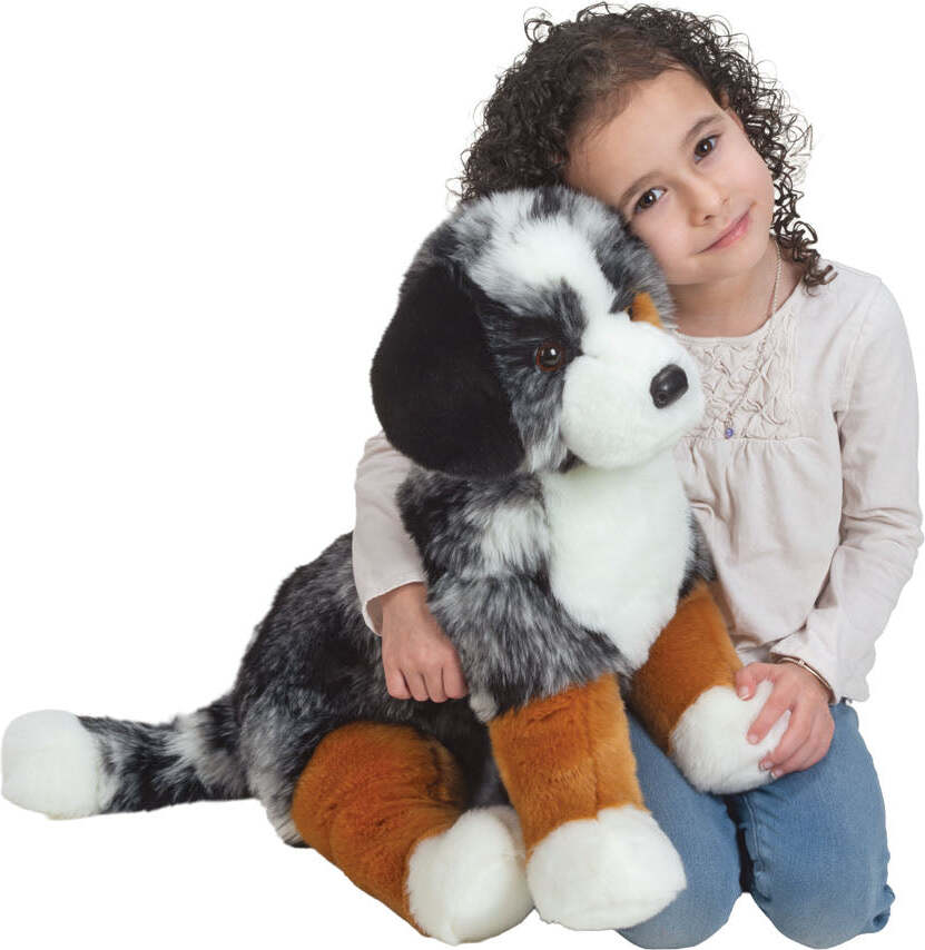 Aspen Australian Shepherd