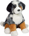 Aspen Australian Shepherd