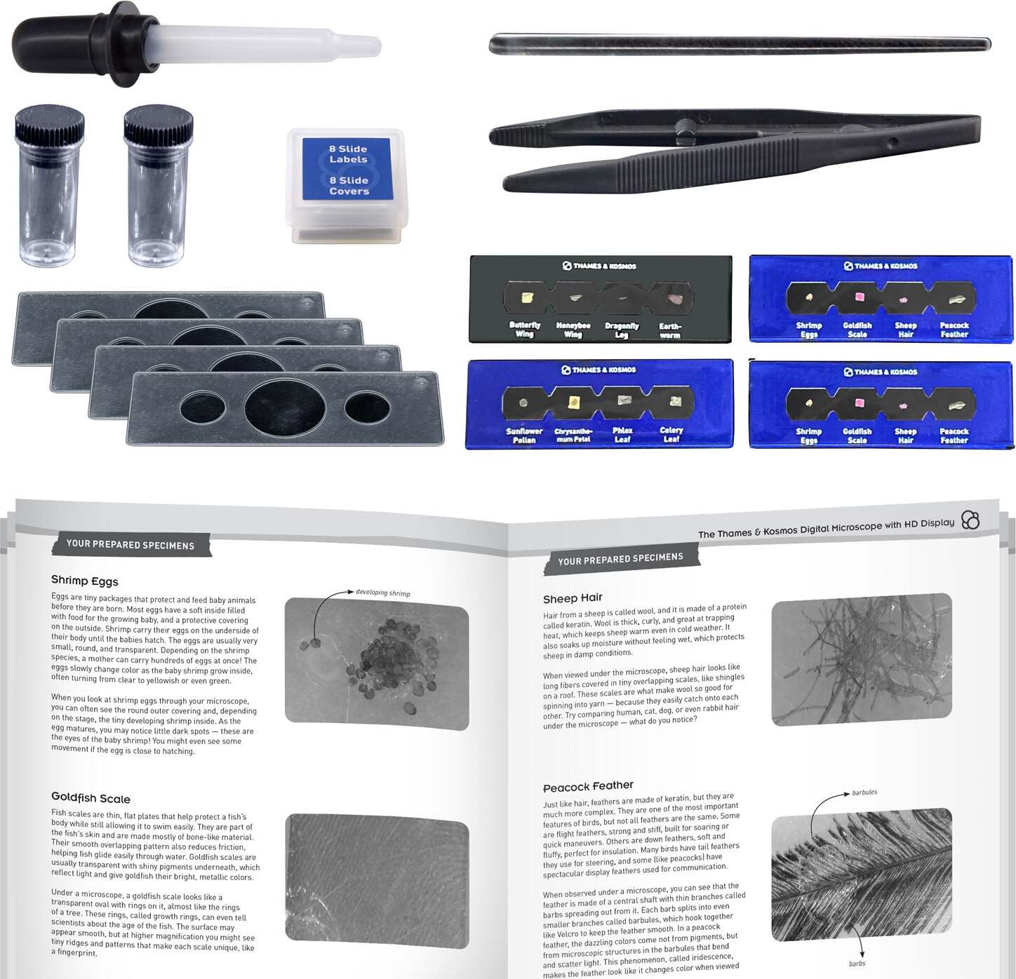Thames & Kosmos Digital Microscope