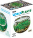Mini WaterPlants - Create A Miniature Aquascape