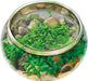 Mini WaterPlants - Create A Miniature Aquascape