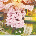 DIY Tiniature Kit - Sakura Station