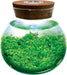 WaterPlants - Create Your Own Aquascape