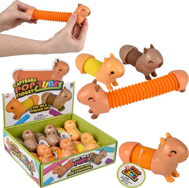 7.5" Capybara Fidget Pop Tube (assorted)