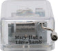 Neato! Music Box (Assorted)