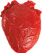 Teeny Tiny Vital Organ