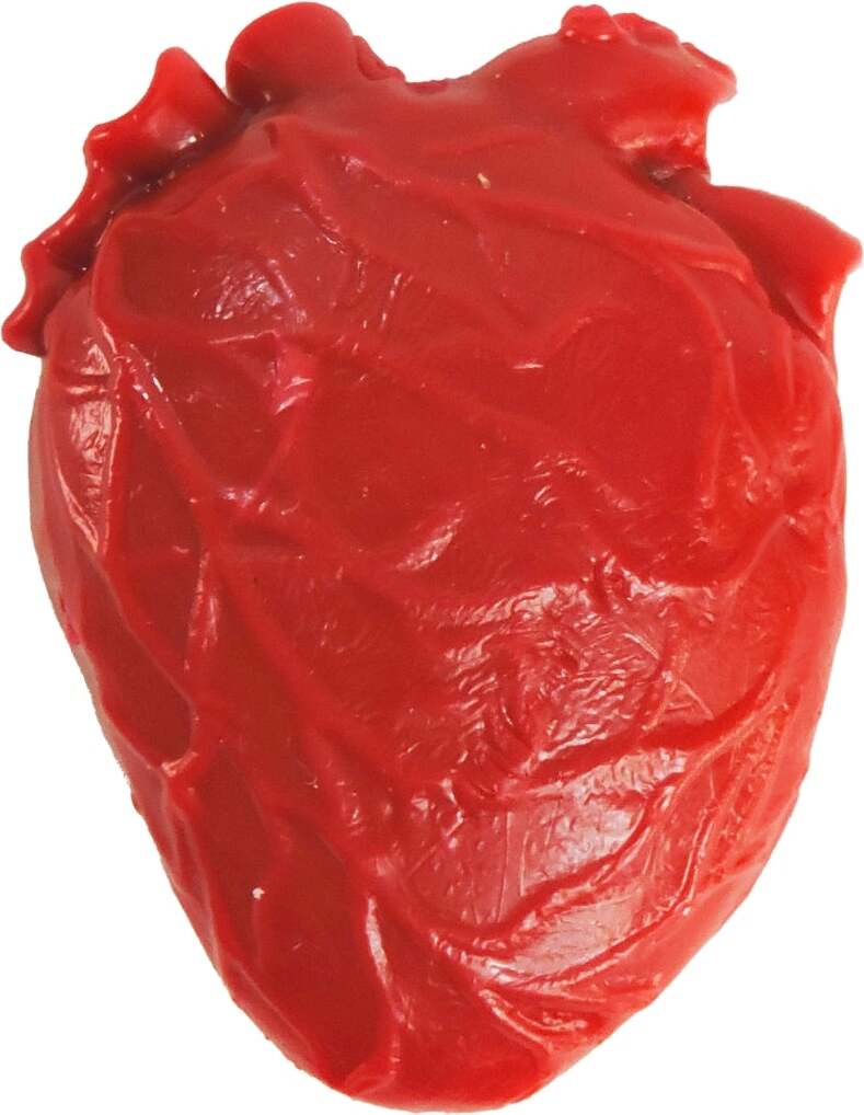 Teeny Tiny Vital Organ