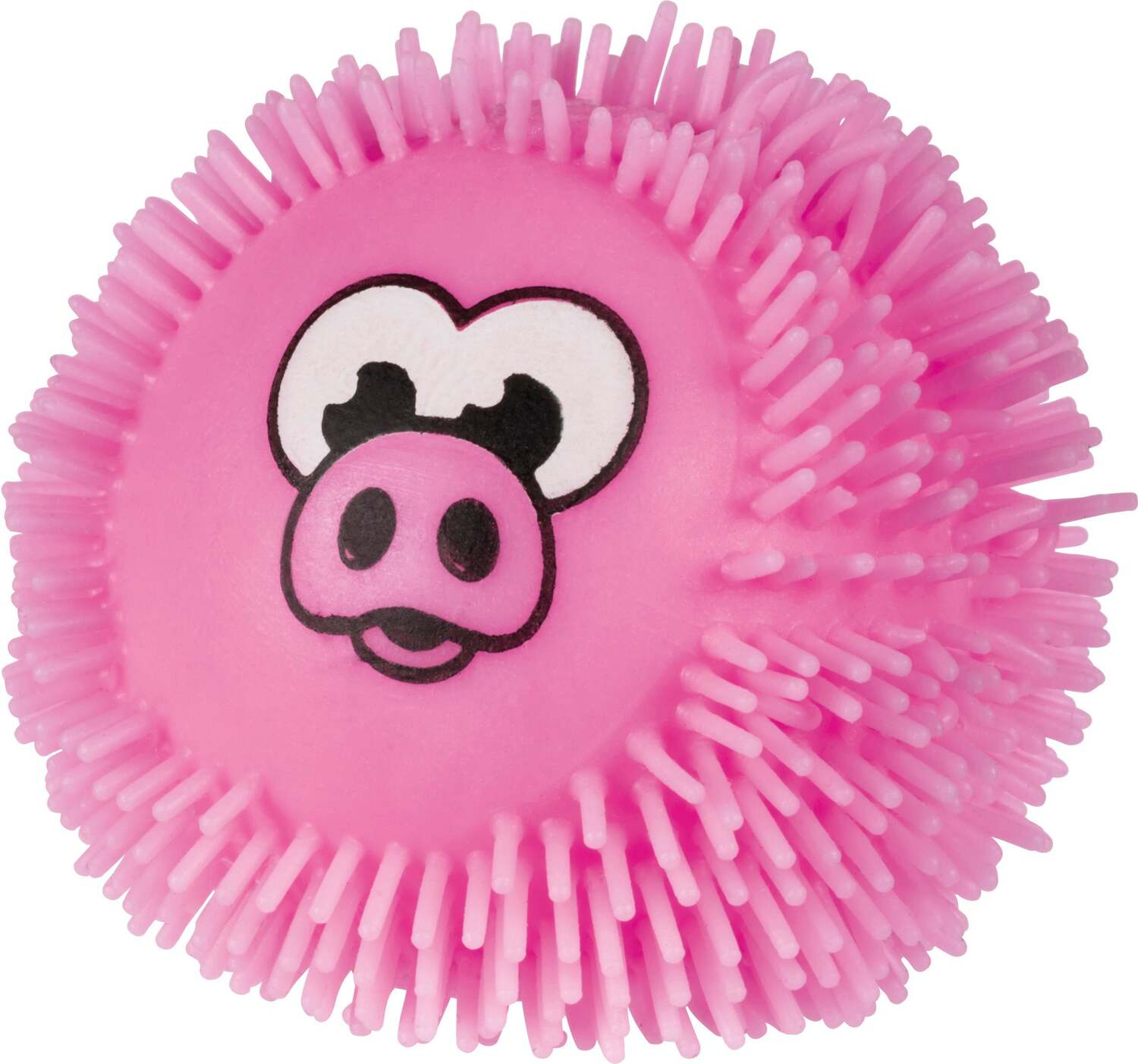 YAY! When Pigs Fly