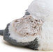 Japanese Fairy Bird Warmies®