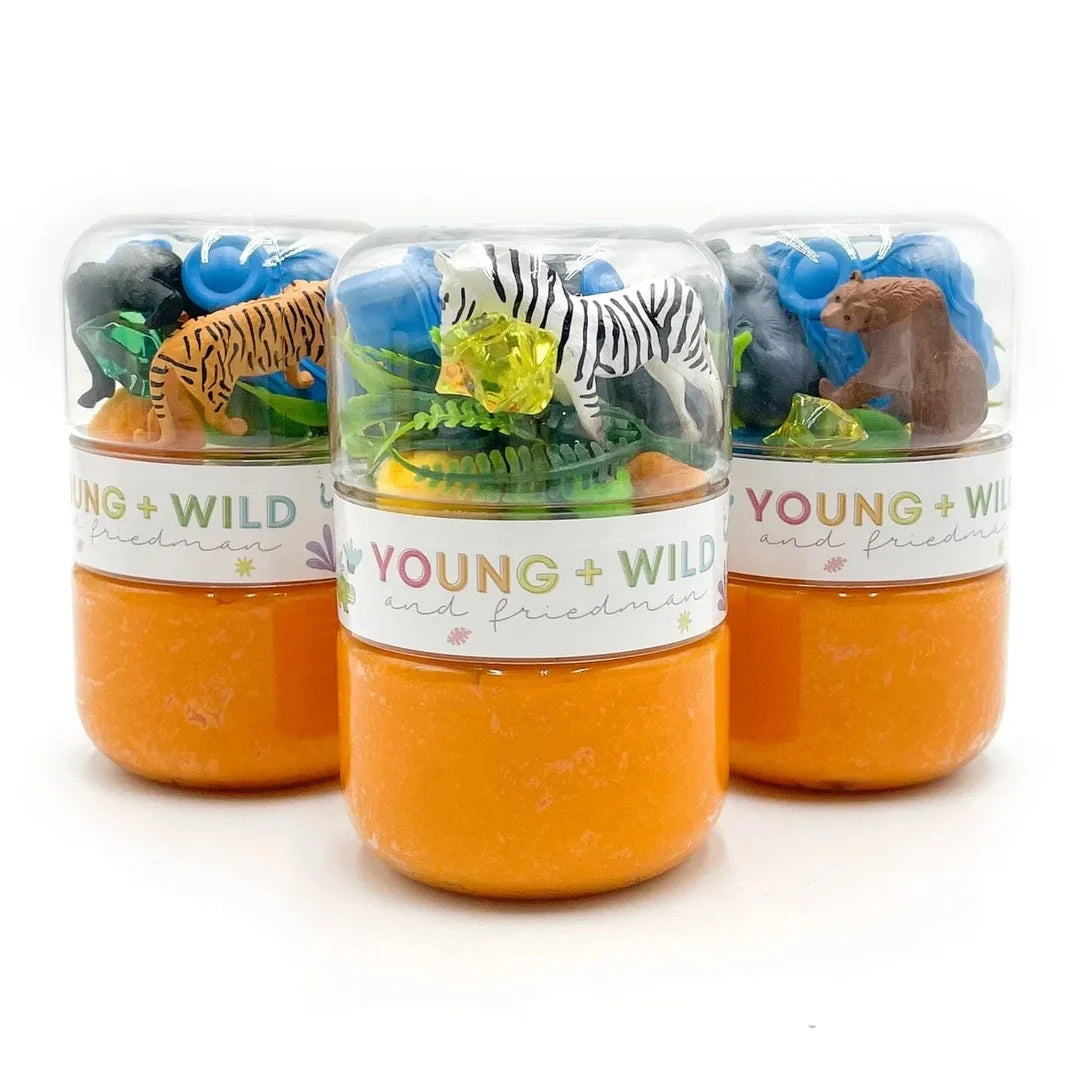 Grab & Go Dough Jar - Zoo