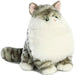 Fat Cats - Dumpling Tabby 9.5in
