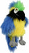 Baby Birds - Blue & Gold Macaw