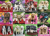Puppy Pals (500 pc Puzzle)