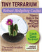 Tiny Terrarium Cactus (assorted)