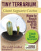 Tiny Terrarium Cactus (assorted)